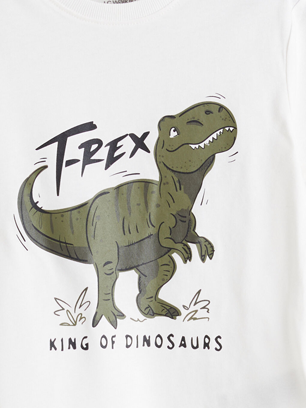Ekru Dinozor Baskılı Erkek Çocuk Tişört-2