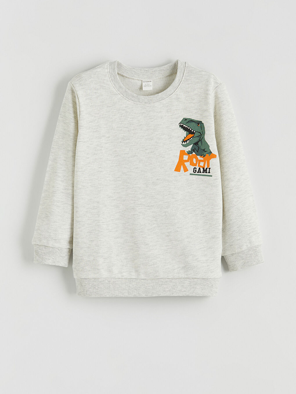 Beyaz Dinozor Baskılı Erkek Çocuk Sweatshirt