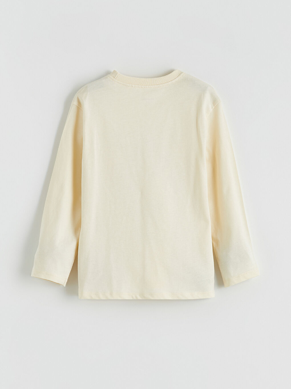 Bej Kaplan Baskılı Erkek Çocuk Tişört-2