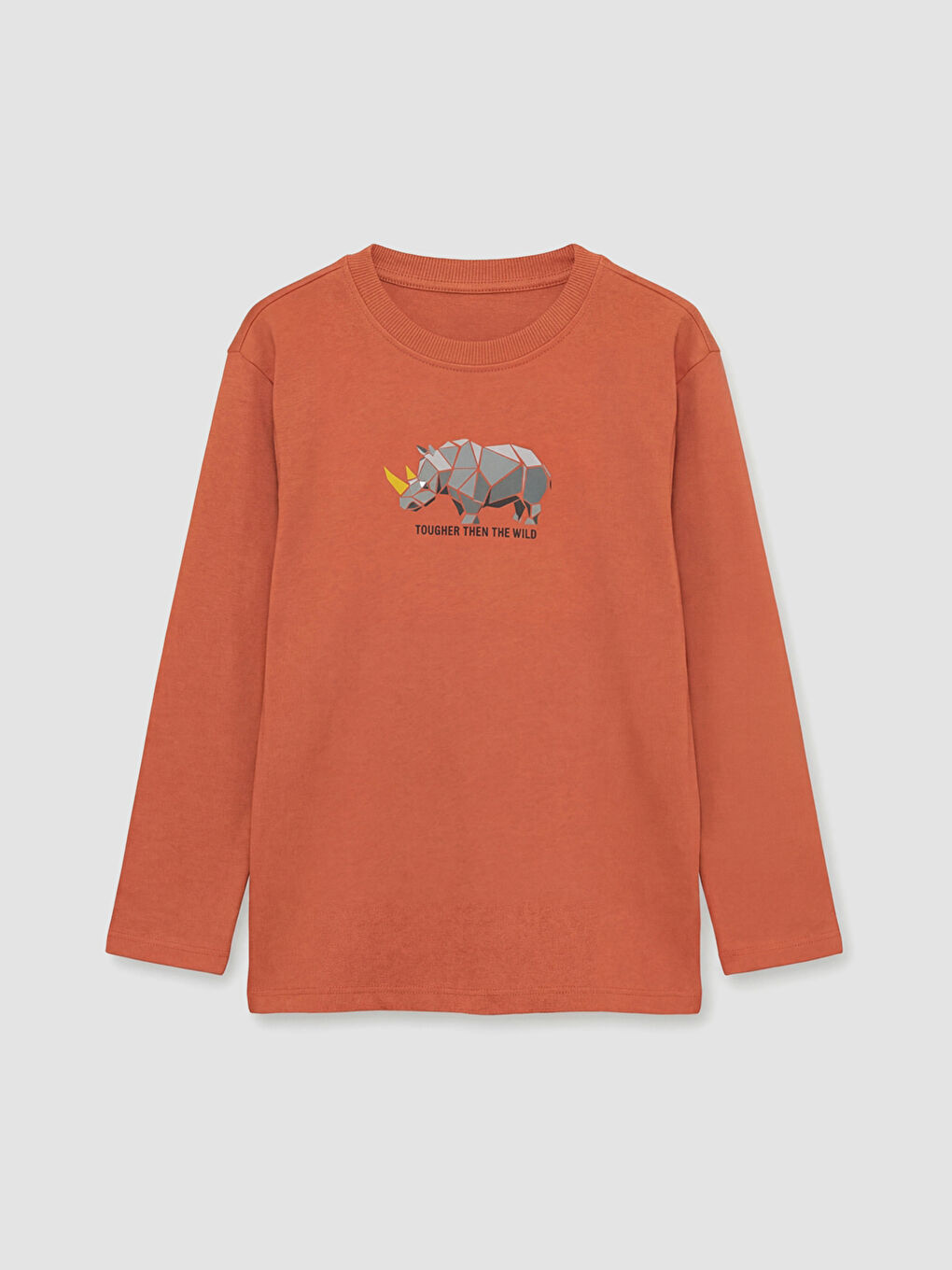 Yeşil Bisiklet Yaka Baskılı Erkek Çocuk Tişört 3'lü-2