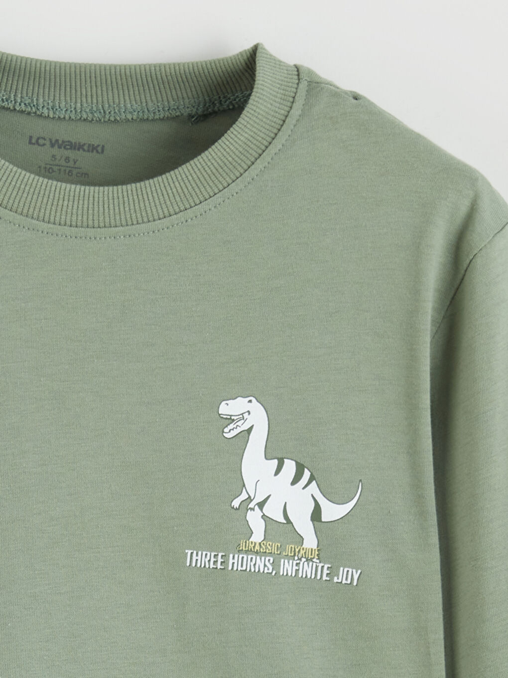 Yeşil Dinozor Baskılı Erkek Çocuk Tişört-1