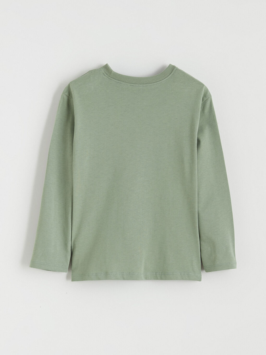 Yeşil Dinozor Baskılı Erkek Çocuk Tişört-2