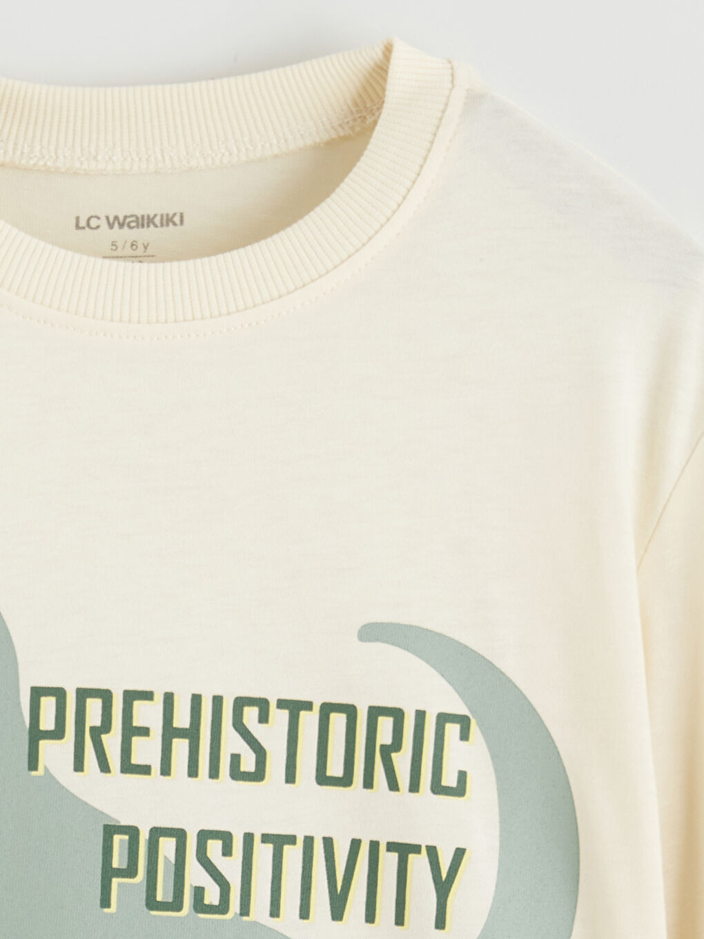 Bej Dinozor Baskılı Erkek Çocuk Tişört-1