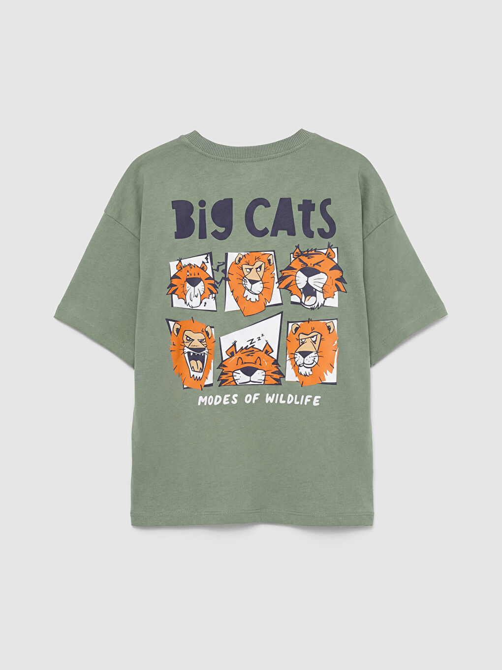 Ekru Aslan Baskılı Erkek Çocuk Tişört 2'li-2