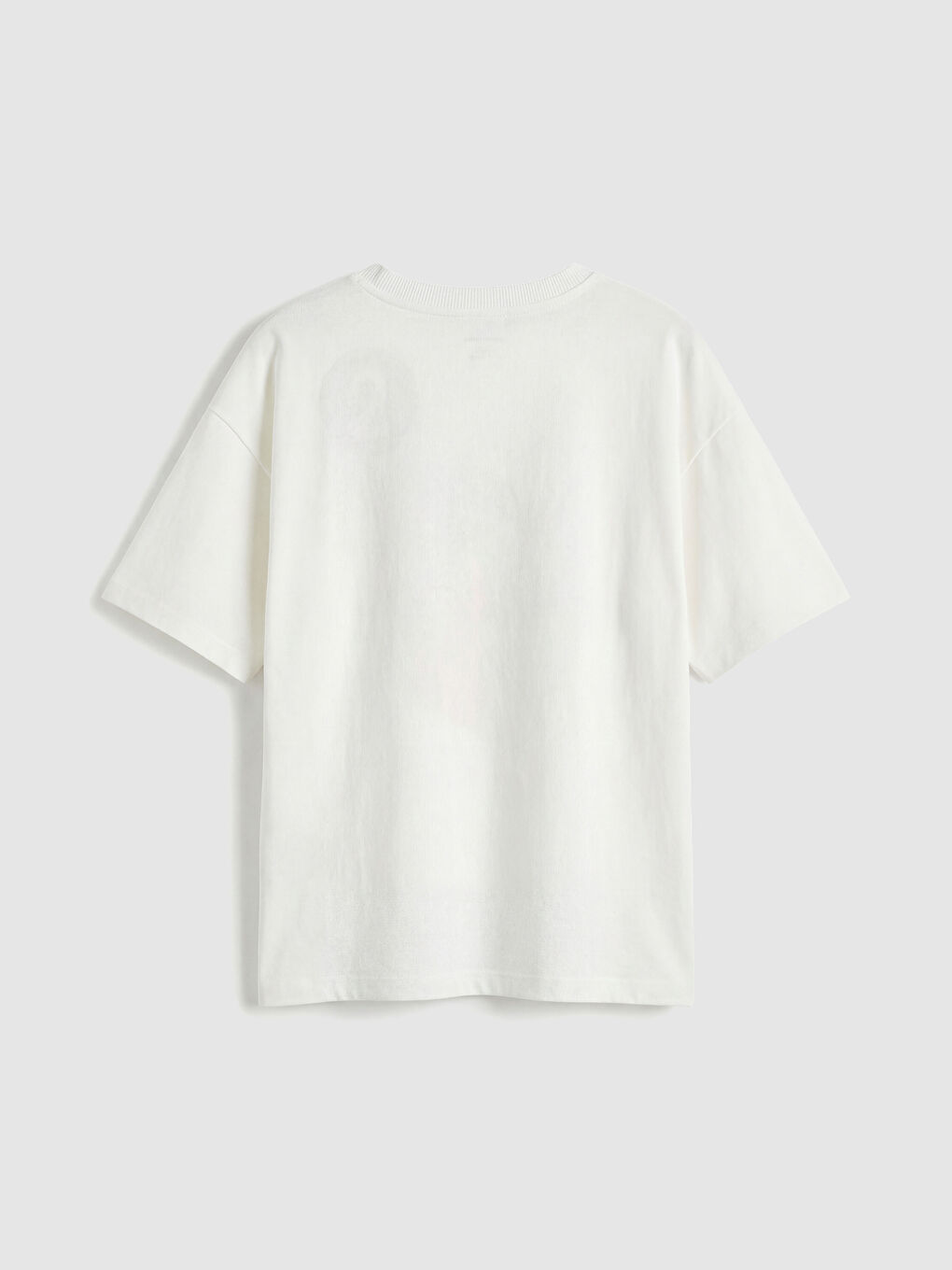 Ekru Aslan Baskılı Erkek Çocuk Tişört 2'li-4