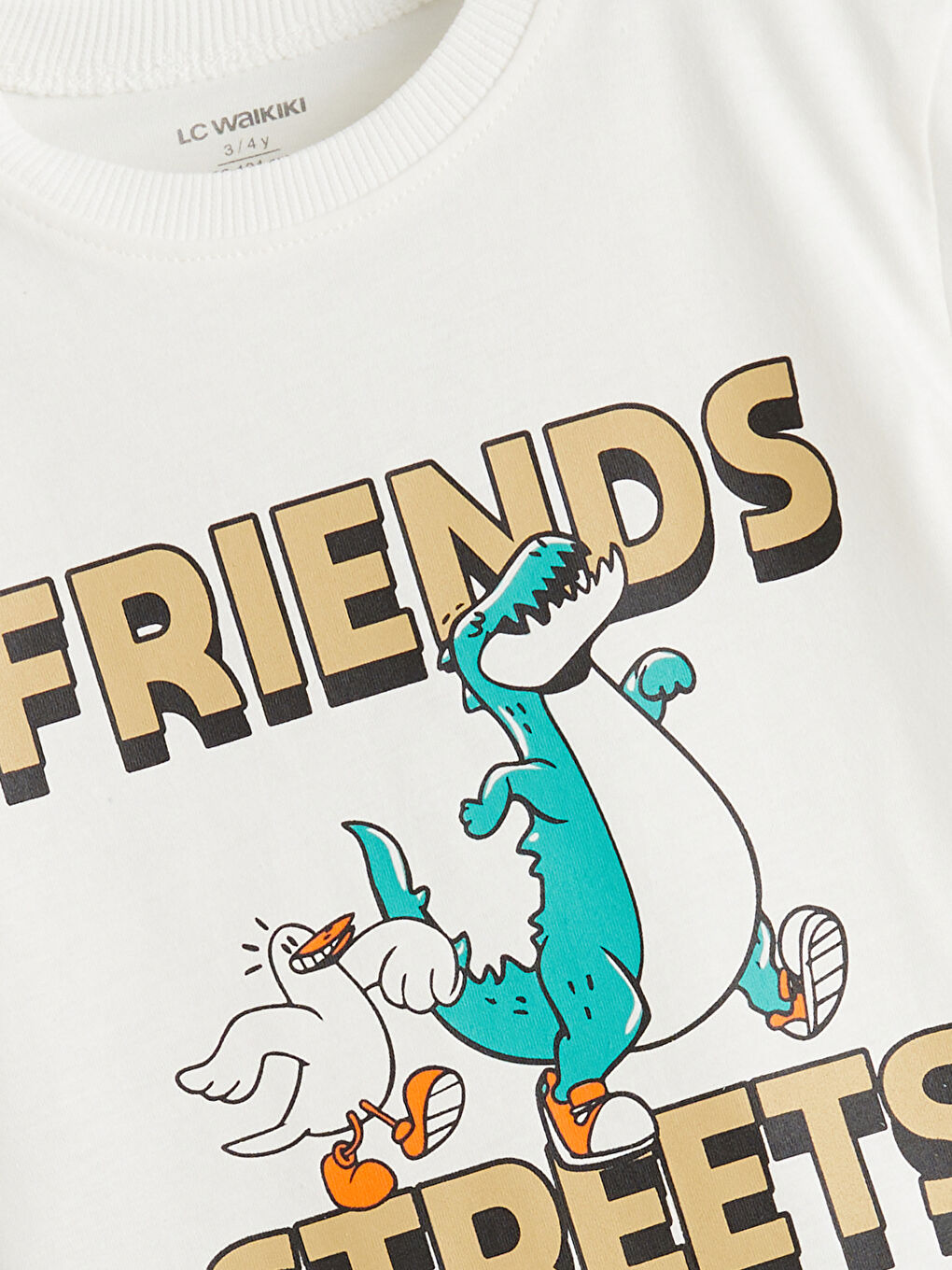 Yeşil Baskılı Erkek Çocuk Penye Tişört 2'li-5