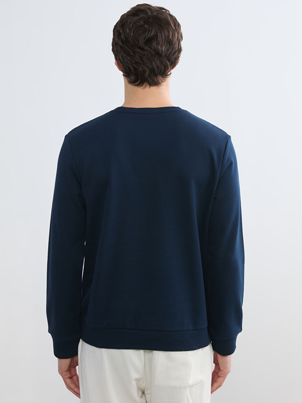 Crew Neck Printed Men's Sweatshirt-3