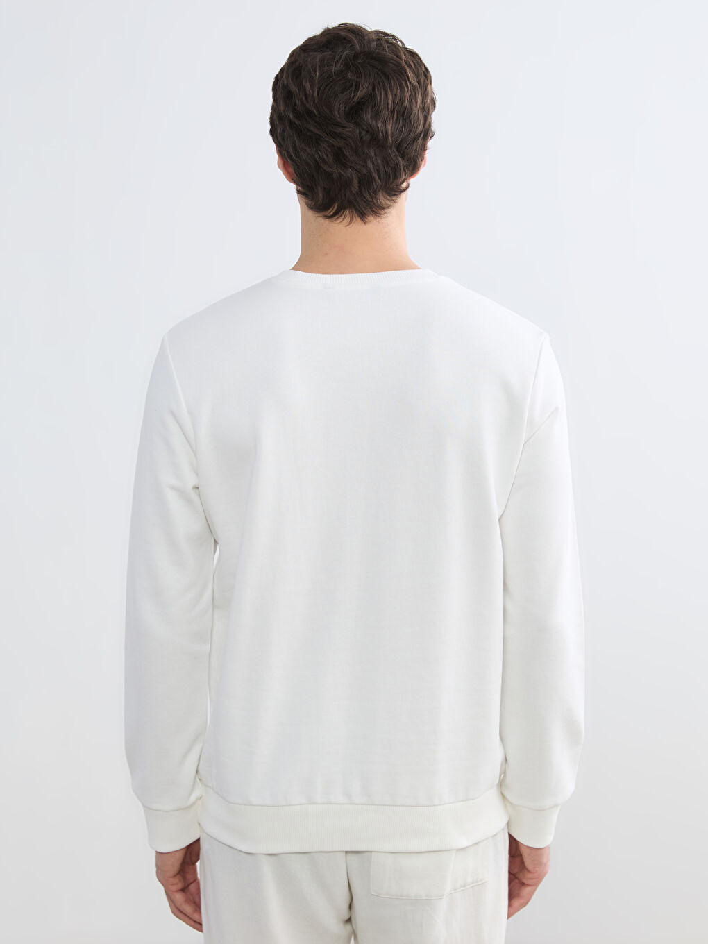 Crew Neck Printed Men's Sweatshirt-3