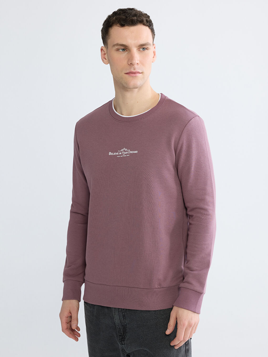 Mürdüm Regular Fit Bisiklet Yaka Baskılı Erkek Sweatshirt