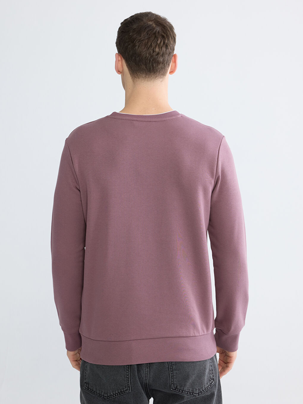 Mürdüm Regular Fit Bisiklet Yaka Baskılı Erkek Sweatshirt-3