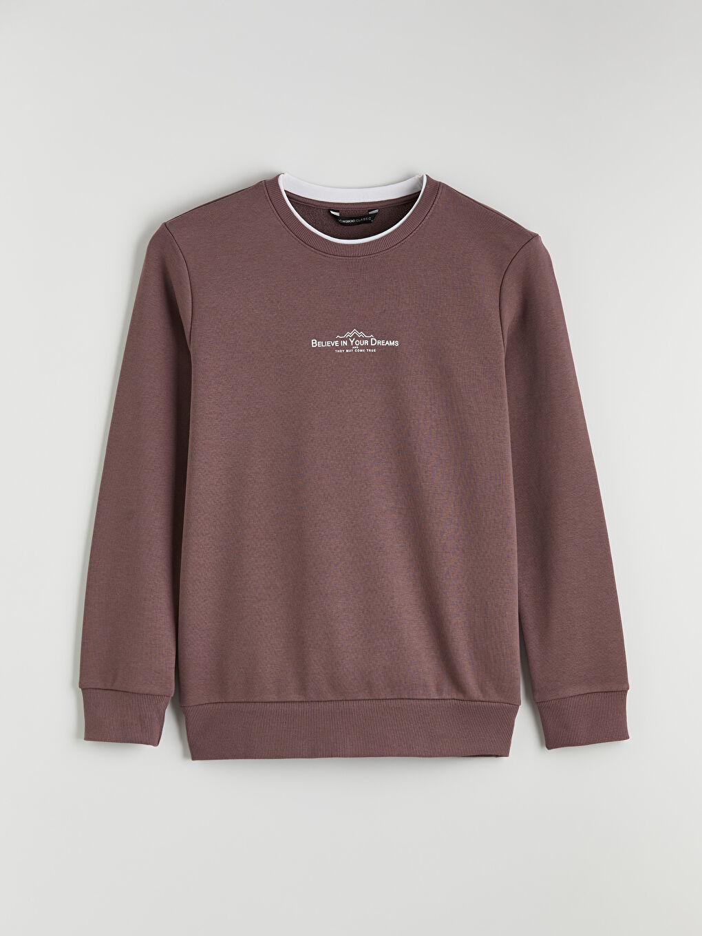 Mürdüm Regular Fit Bisiklet Yaka Baskılı Erkek Sweatshirt-4