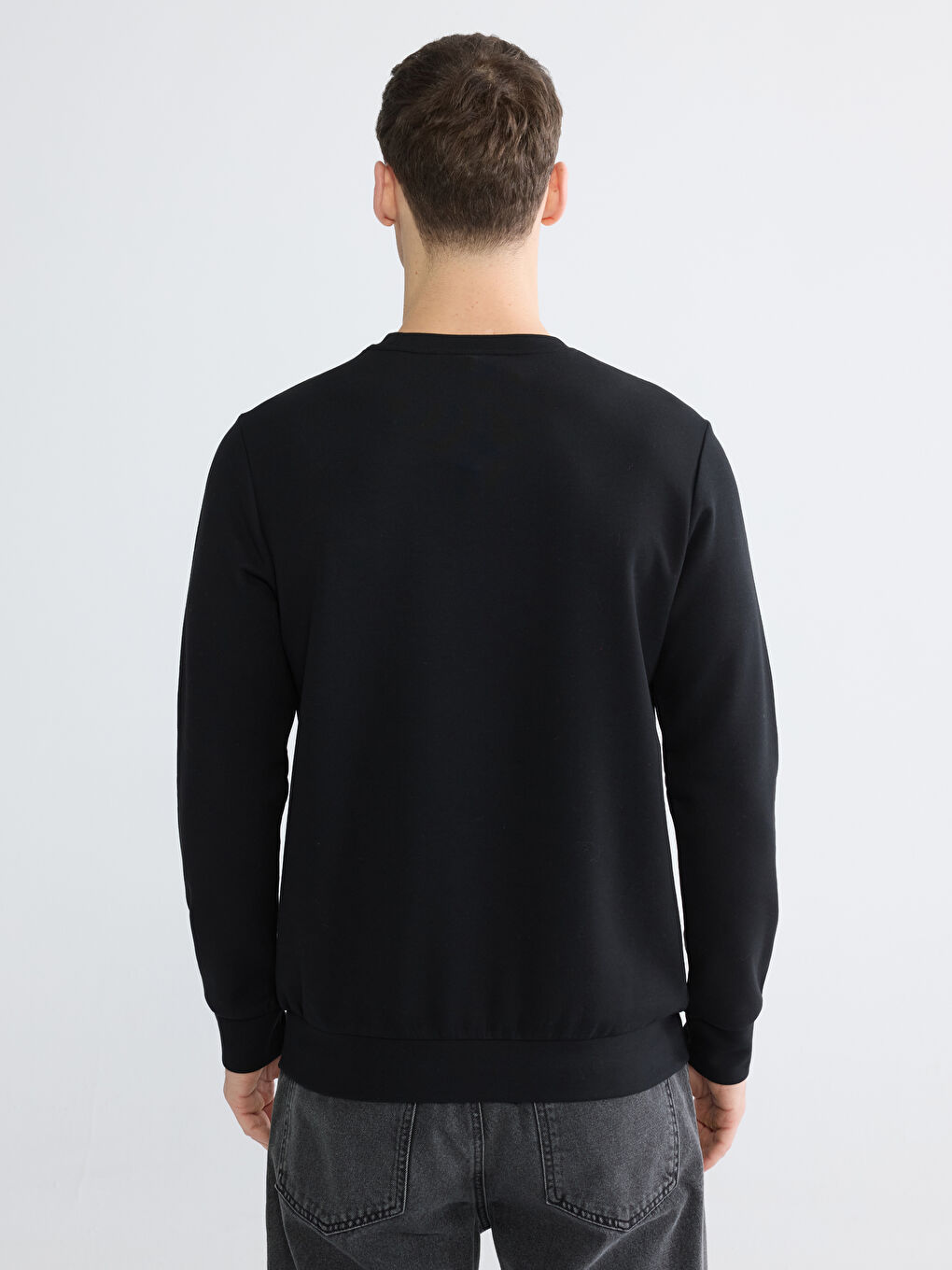 Crew Neck Printed Men's Sweatshirt-3