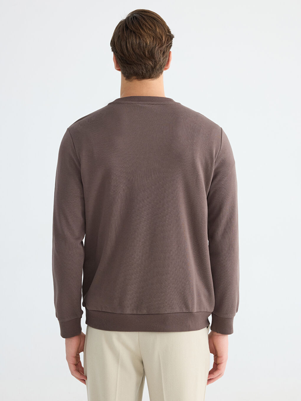 Crew Neck Printed Men's Sweatshirt-3