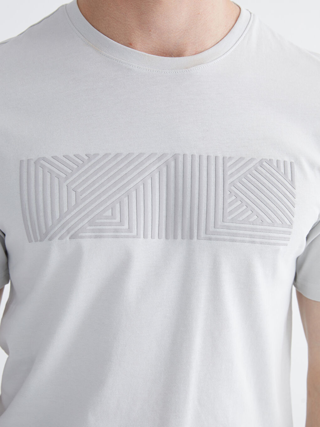 Gri Bisiklet Yaka Baskılı Penye Erkek Tişört-2