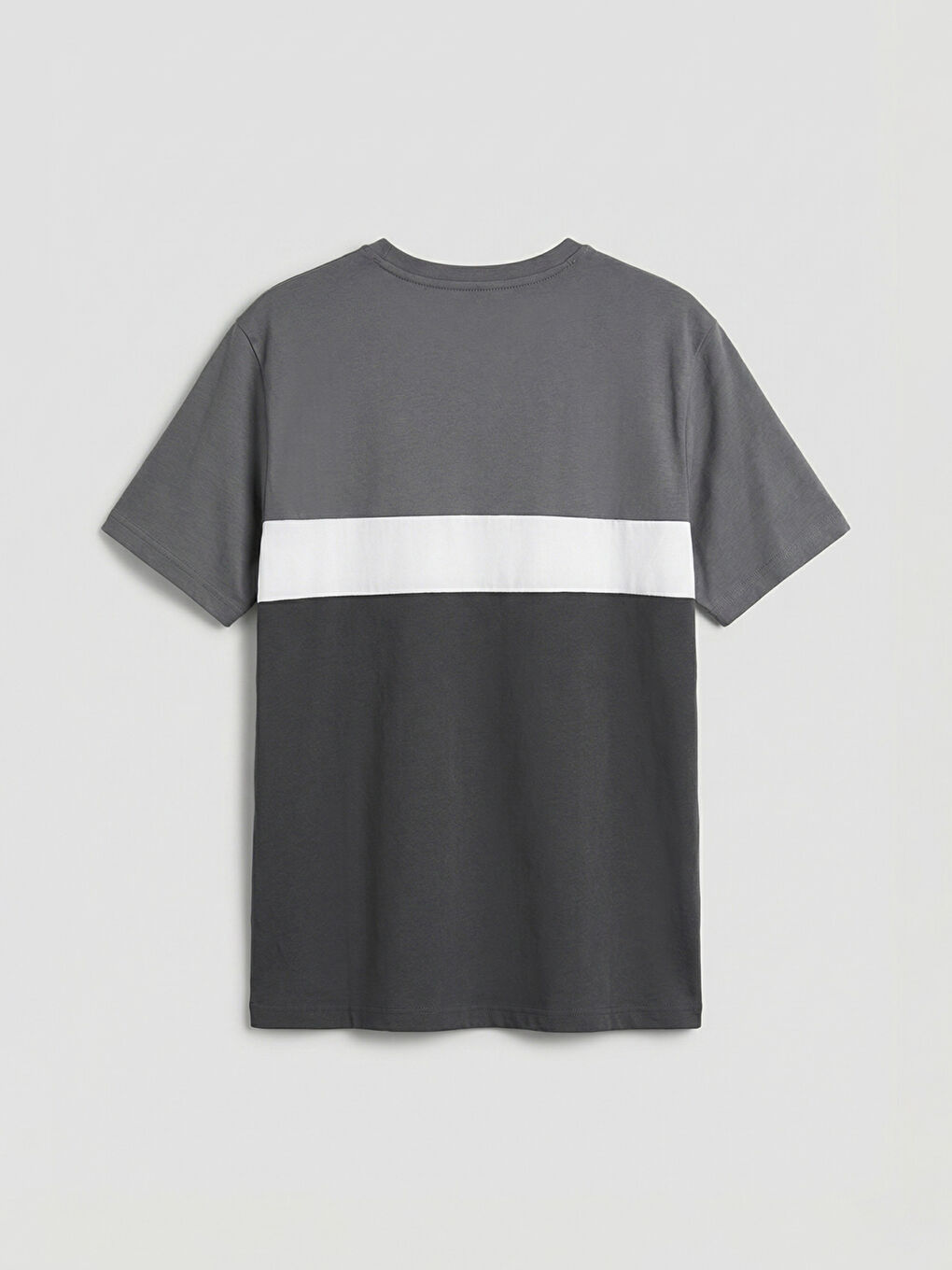 Antrasit Bisiklet Yaka Renk Bloklu Penye Erkek Tişört-1