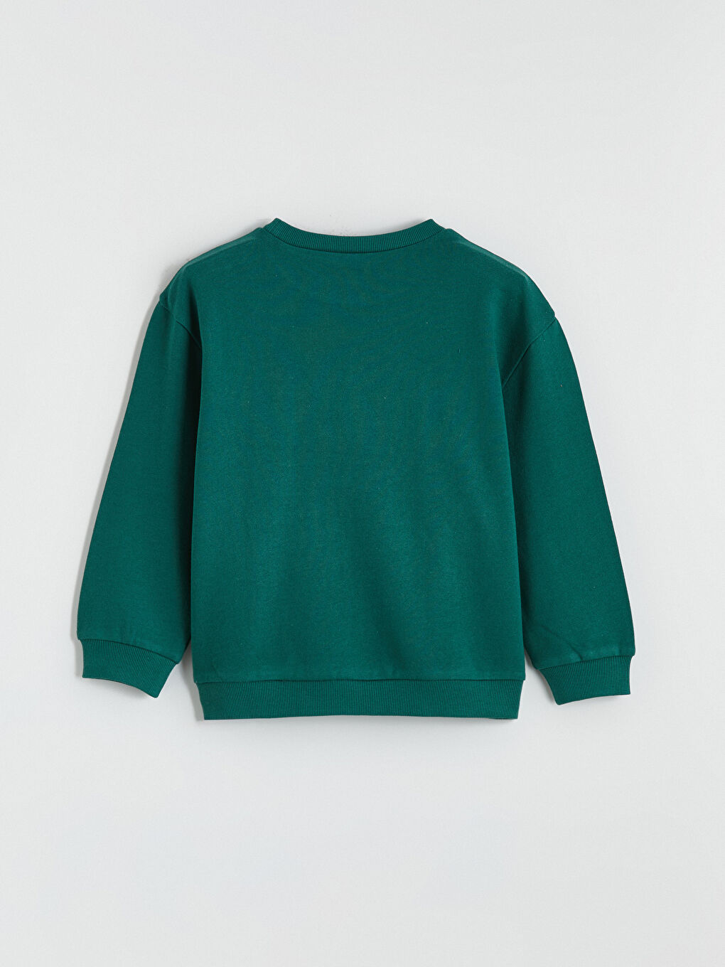 Teddy Bear Printed Boys' Sweatshirt and Sweatpants-3