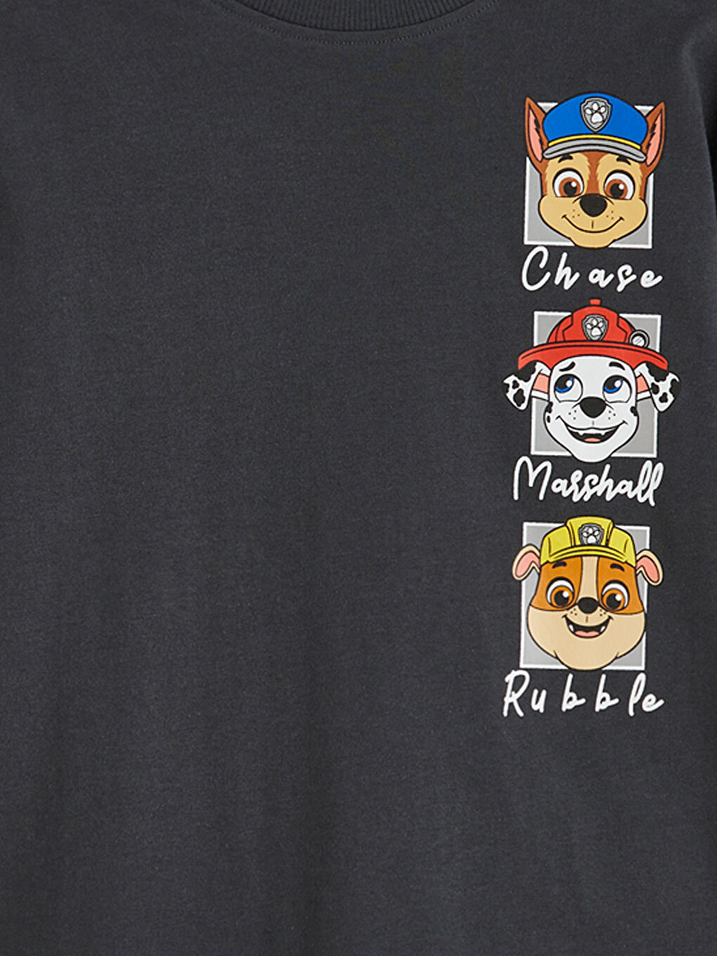 Antrasit  Paw Patrol Baskılı Erkek Çocuk Tişört-2