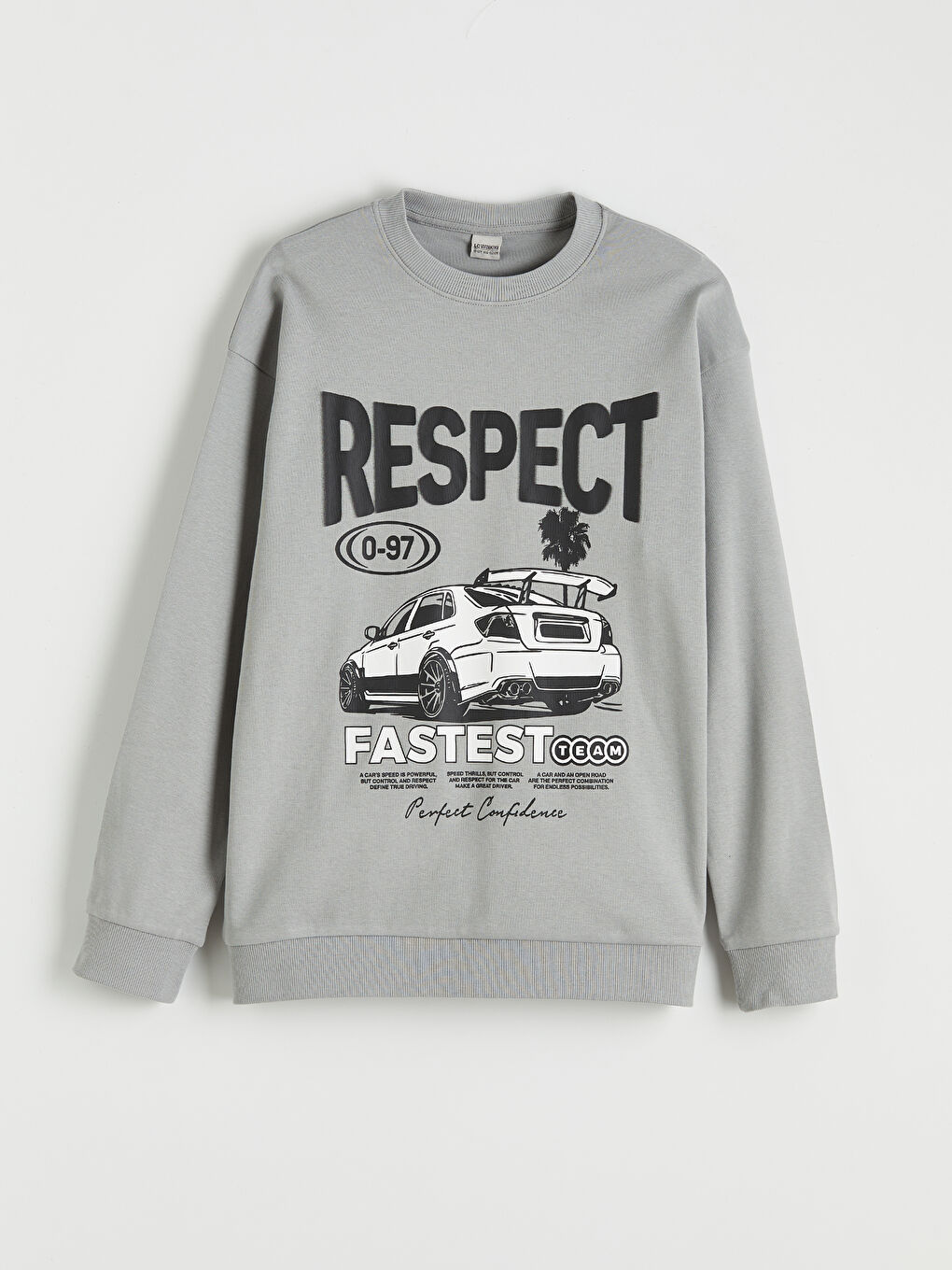Boys' Crew Neck Printed Sweatshirt