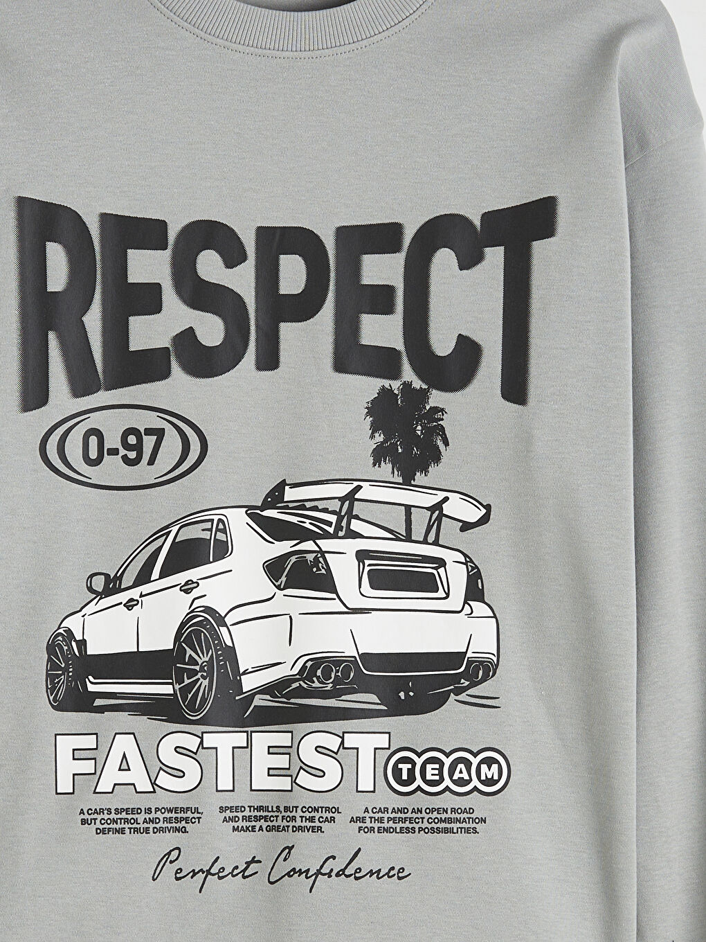 Boys' Crew Neck Printed Sweatshirt-2