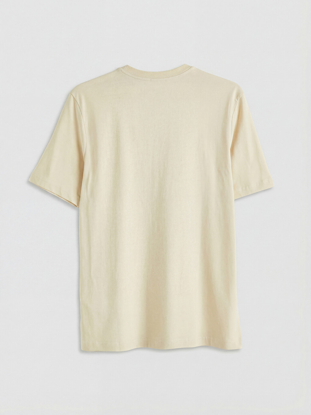 Regular Fit Thin Fabric T-shirt /03-5