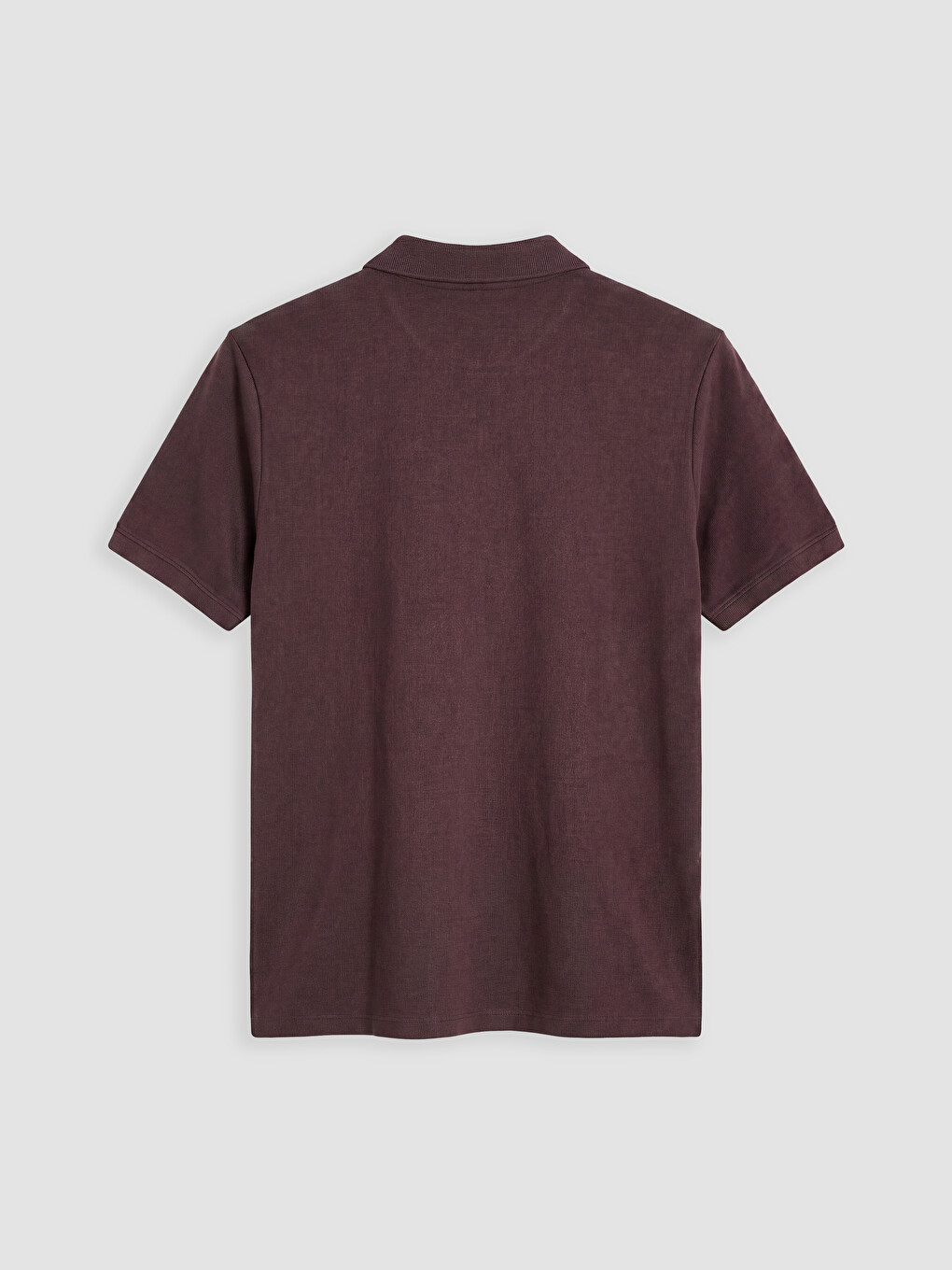 Man Plum T-Shirt-1