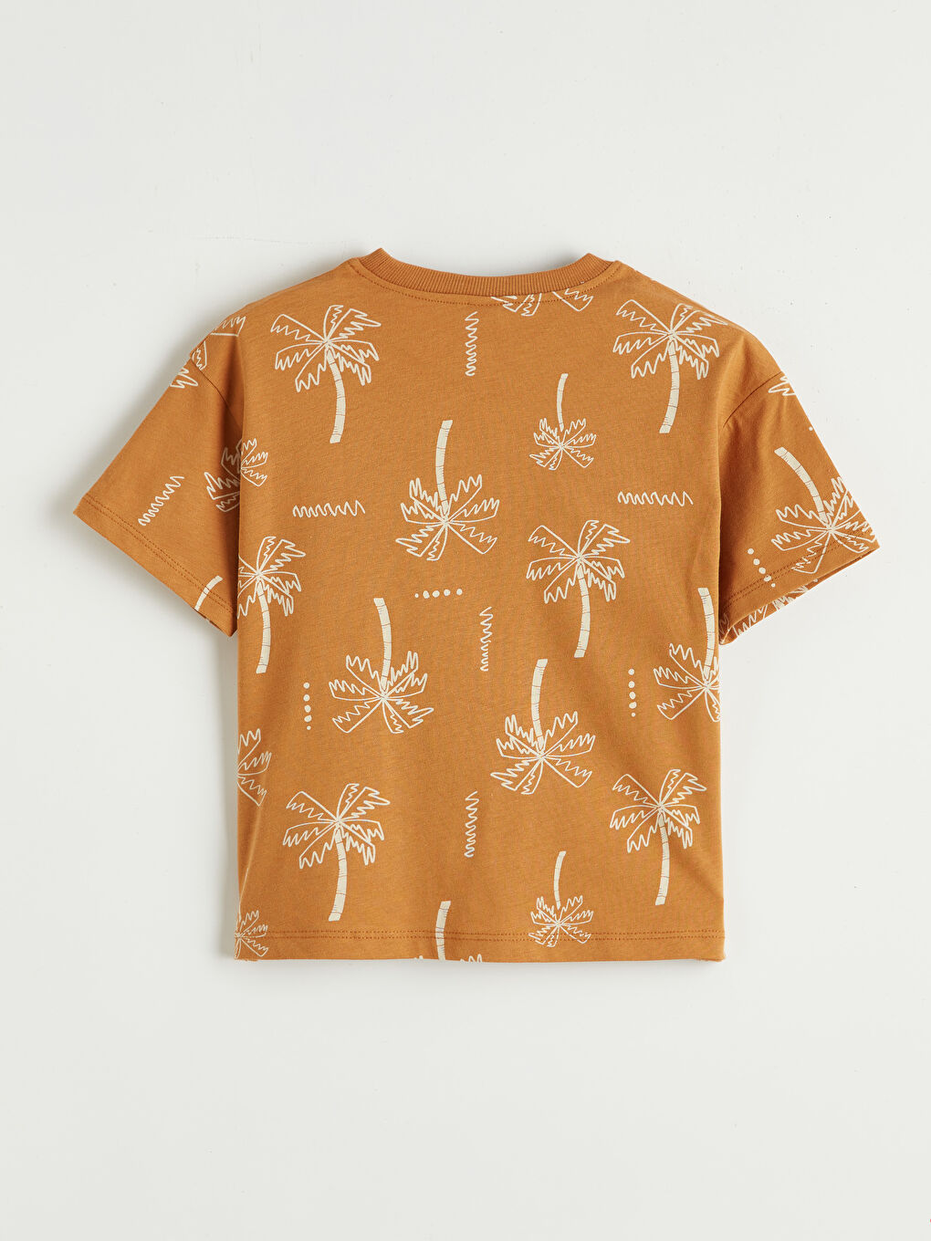 Kahverengi Desenli Erkek Çocuk Tişört ve Şort-2