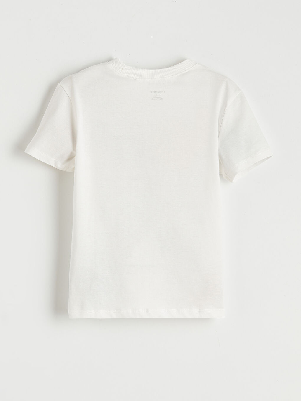 Crew Neck Printed Boys' T-Shirt-1