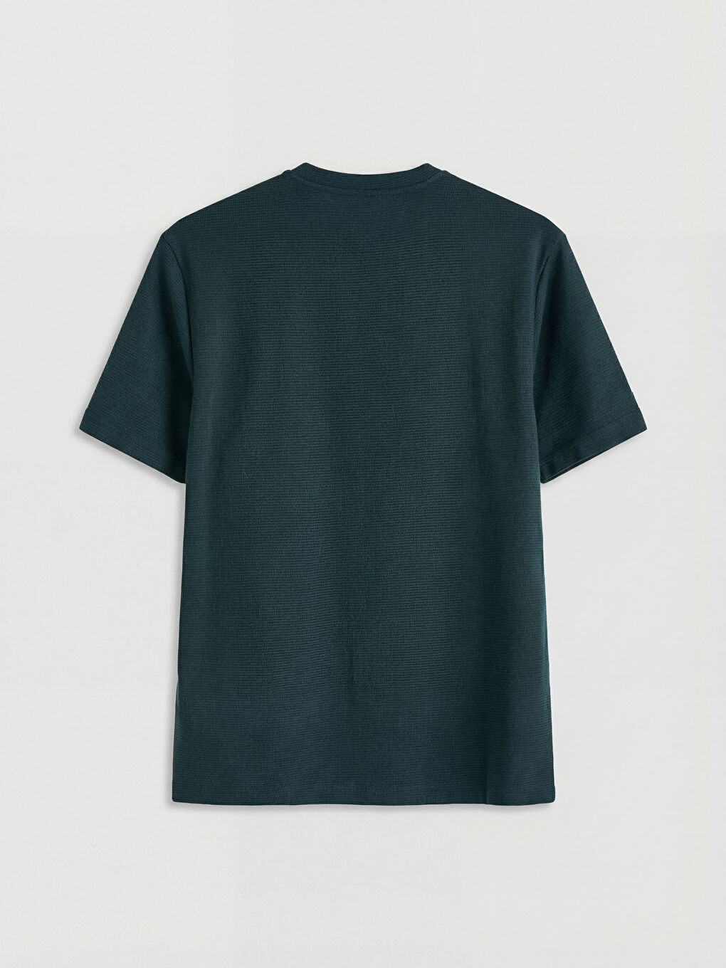 Petrol Bisiklet Yaka Erkek Tişört-1