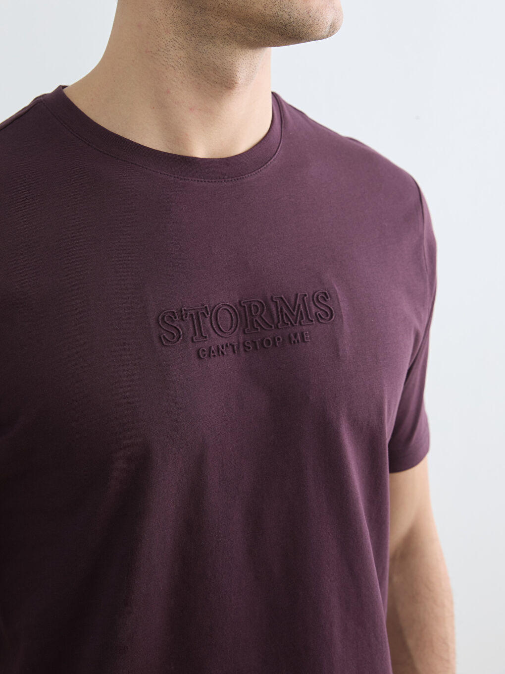 Mürdüm Bisiklet Yaka Baskılı Penye Erkek Tişört-2