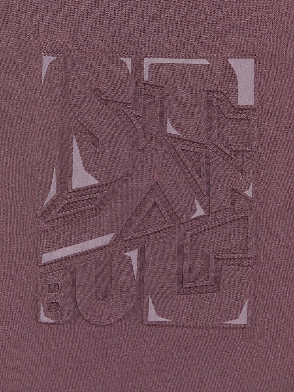 Mürdüm Bisiklet Yaka Baskılı Penye Erkek Tişört-2