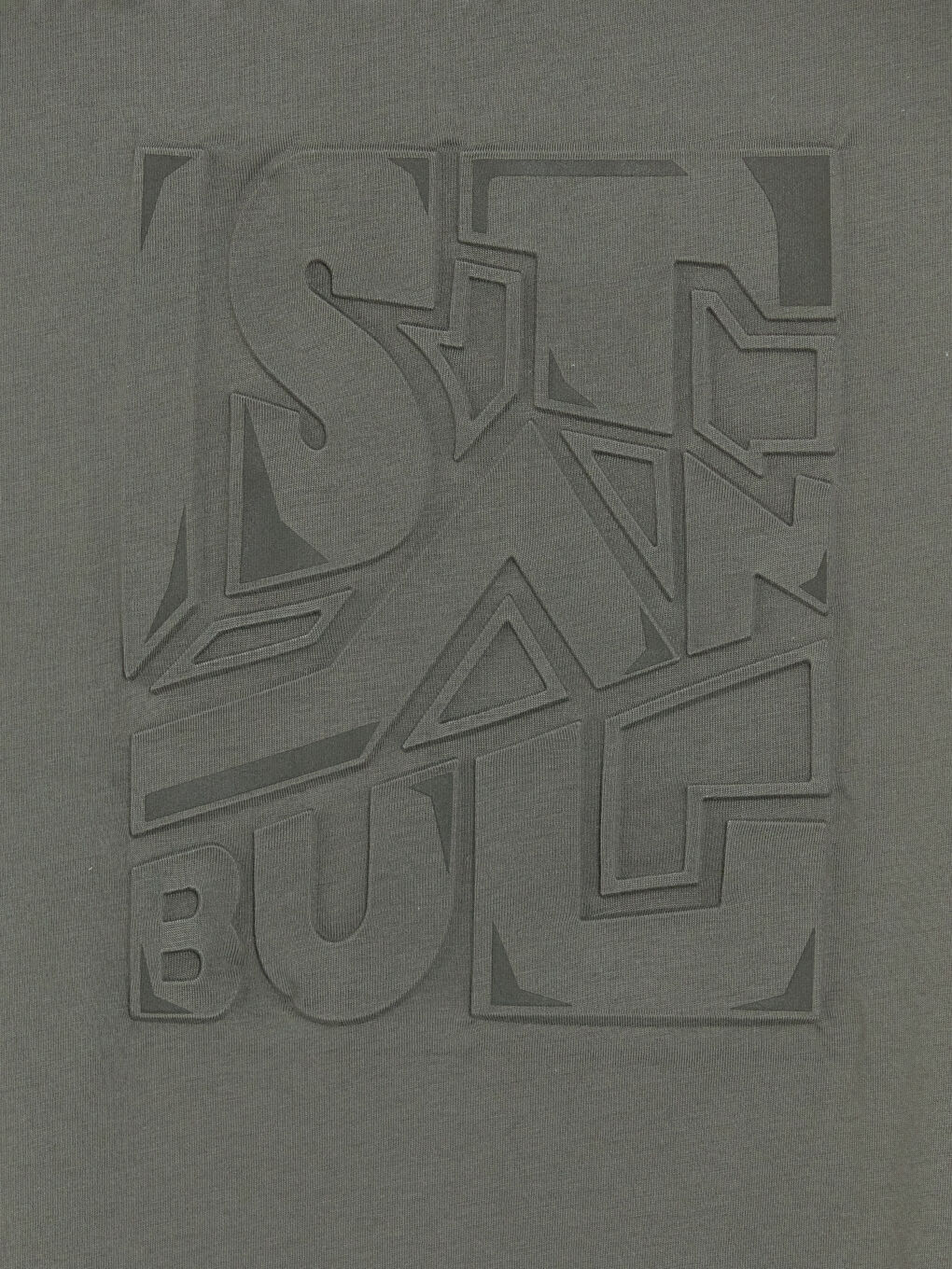 Haki Bisiklet Yaka Baskılı Penye Erkek Tişört-2