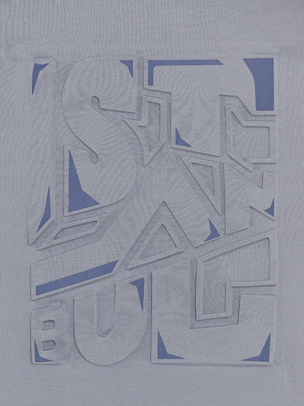 Gri Bisiklet Yaka Baskılı Penye Erkek Tişört-2