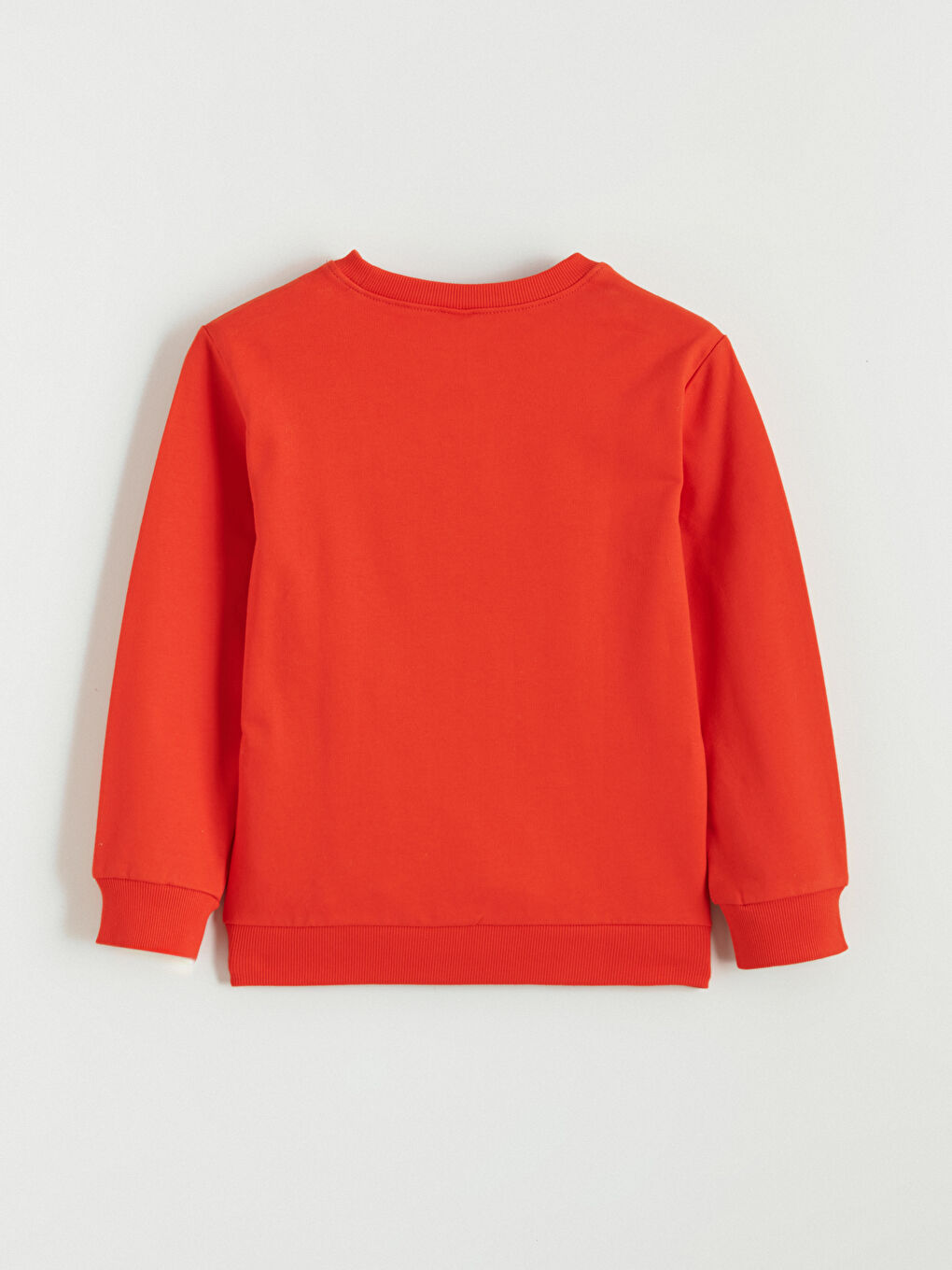 Printed Boys' Sweatshirt-2