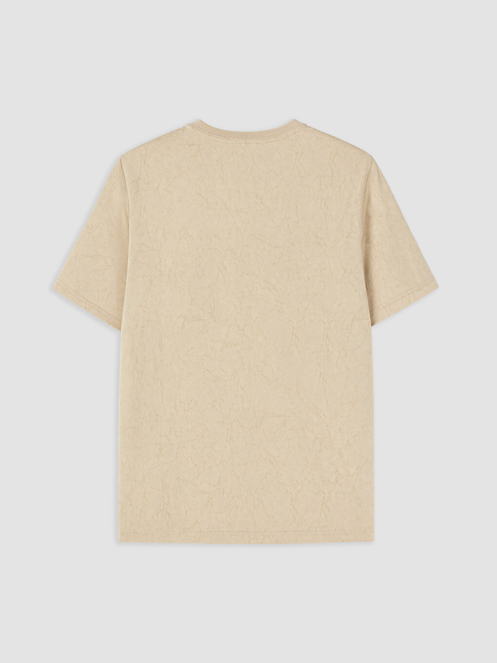Crew Neck Printed Men's T-shirt-4