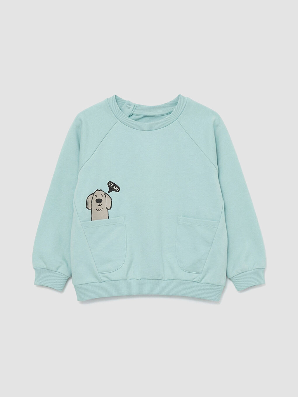 Yeşil Erkek Bebek Baskılı Sweatshirt ve Eşofman Altı-1