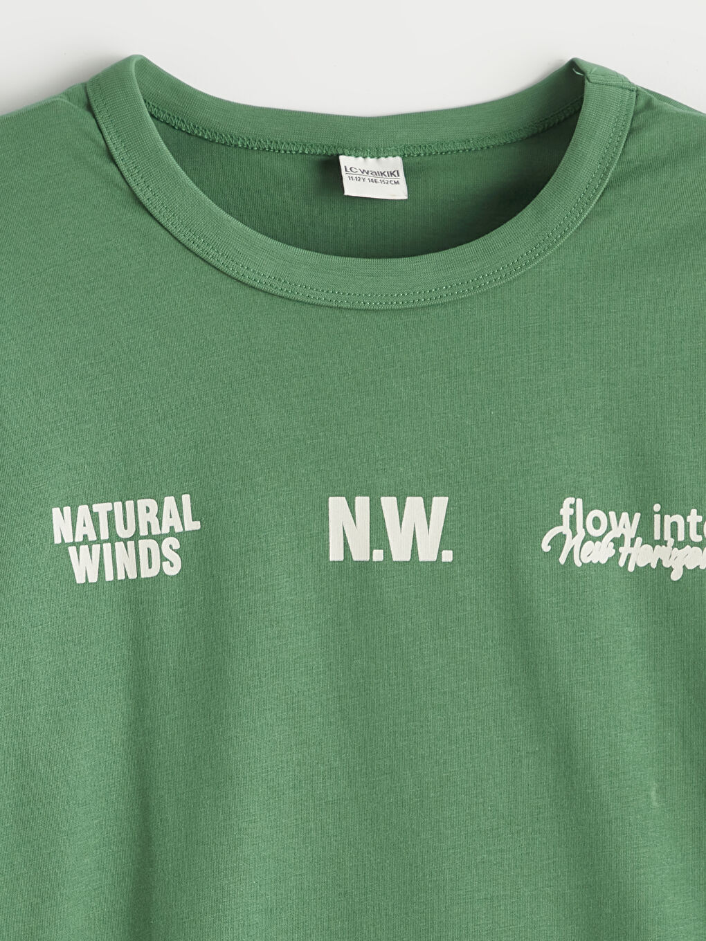 Yeşil Baskılı Erkek Çocuk Tişört 2'li-2