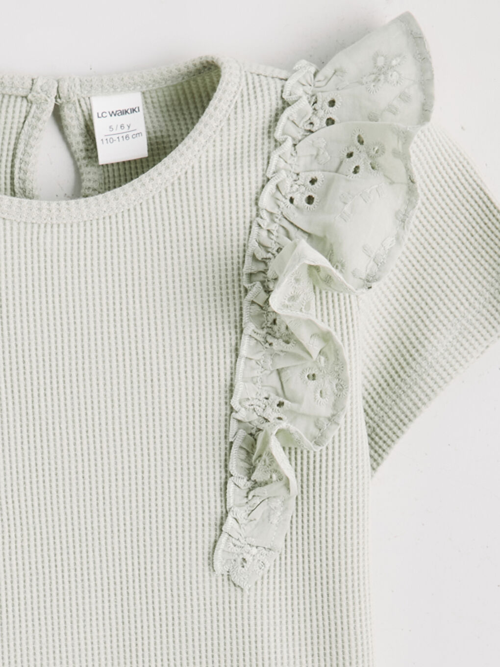 سێت سه‌وز کچ-2