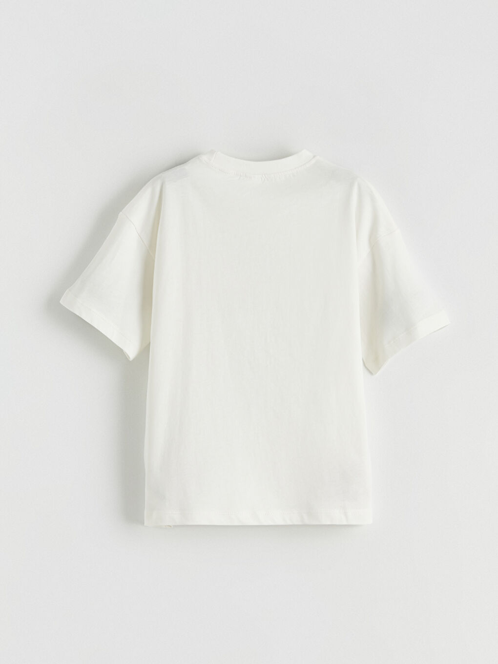 Crew Neck Printed Boys' T-Shirt 2 Pack-3