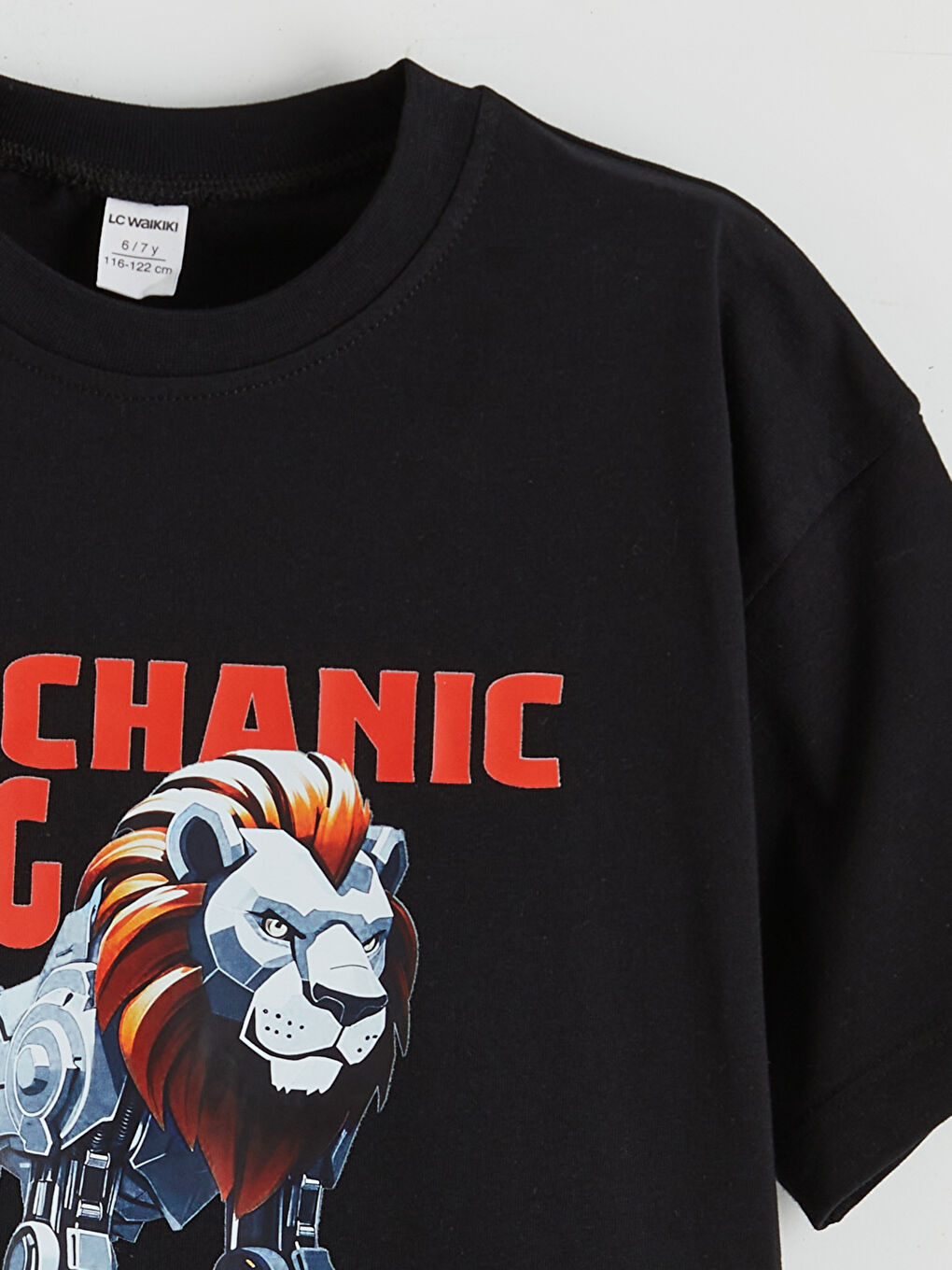 Crew Neck Printed Boys' T-Shirt 2 Pack-5