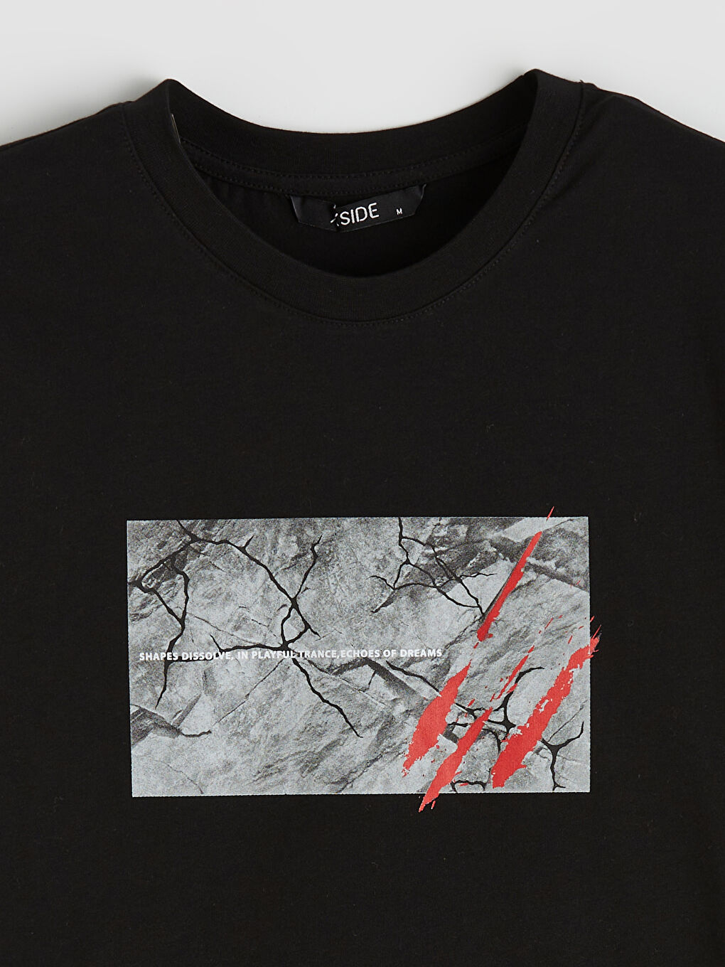 Siyah Bisiklet Yaka Baskılı Penye Erkek Tişört-1