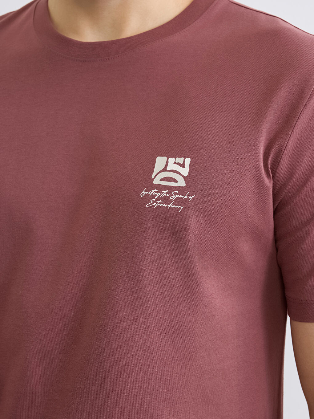 Pembe Bisiklet Yaka Baskılı Penye Erkek Tişört-2