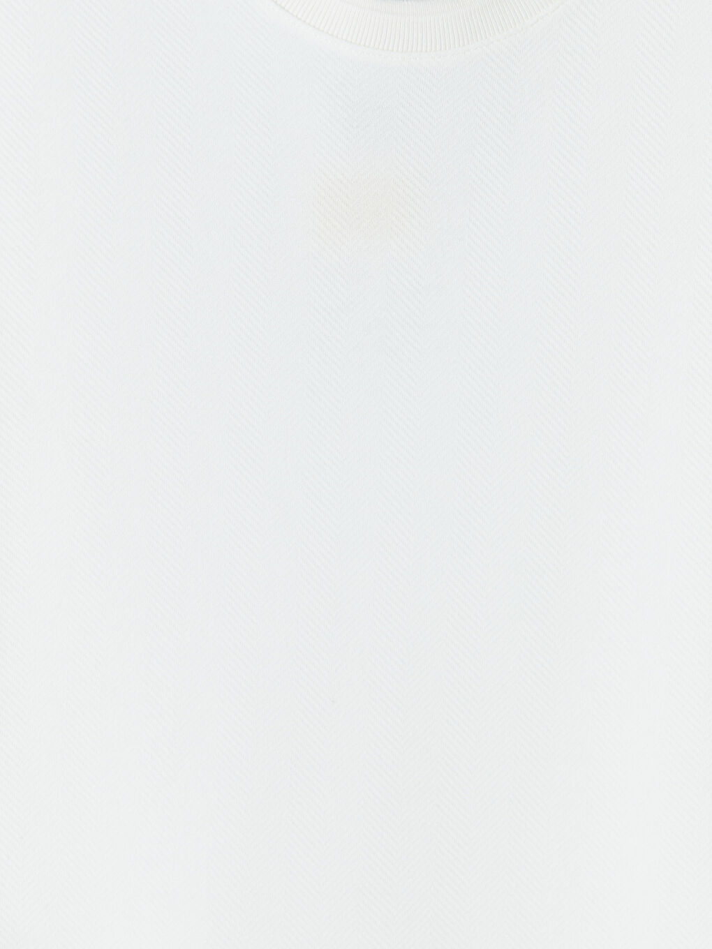 Ekru Bisiklet Yaka Erkek Tişört-2