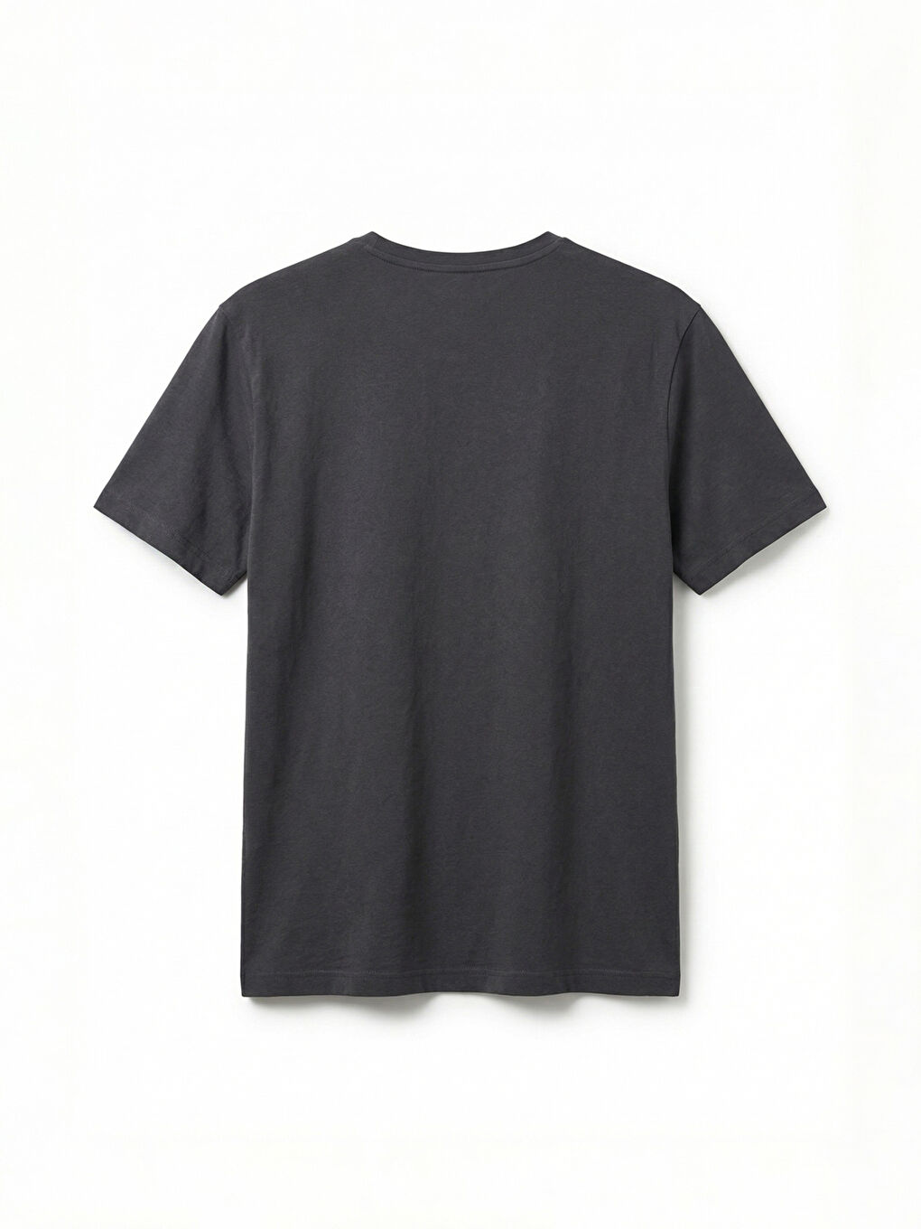 Antrasit Bisiklet Yaka Erkek Tişört-5