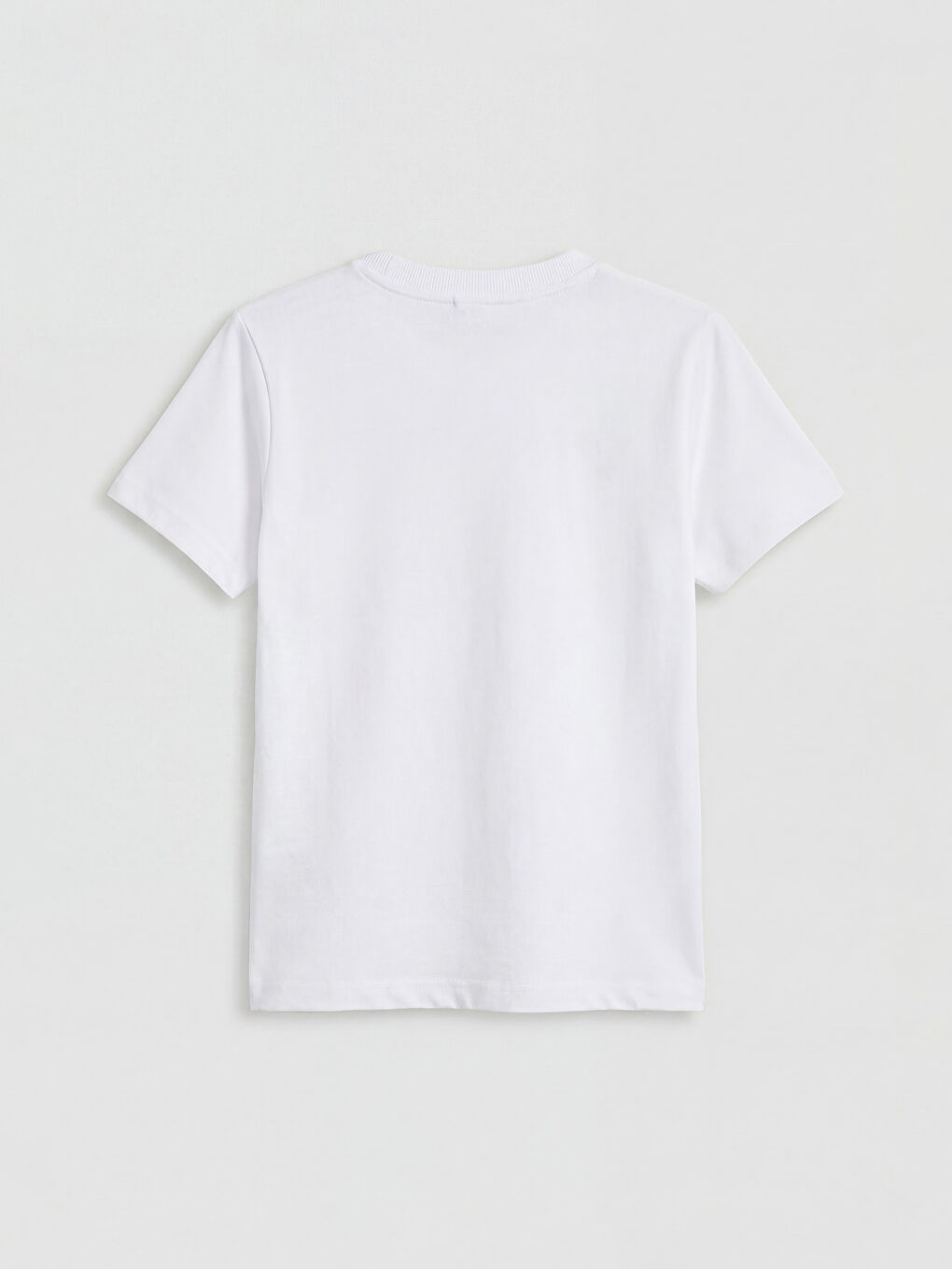 Crew Neck Printed Boys' T-Shirt-1