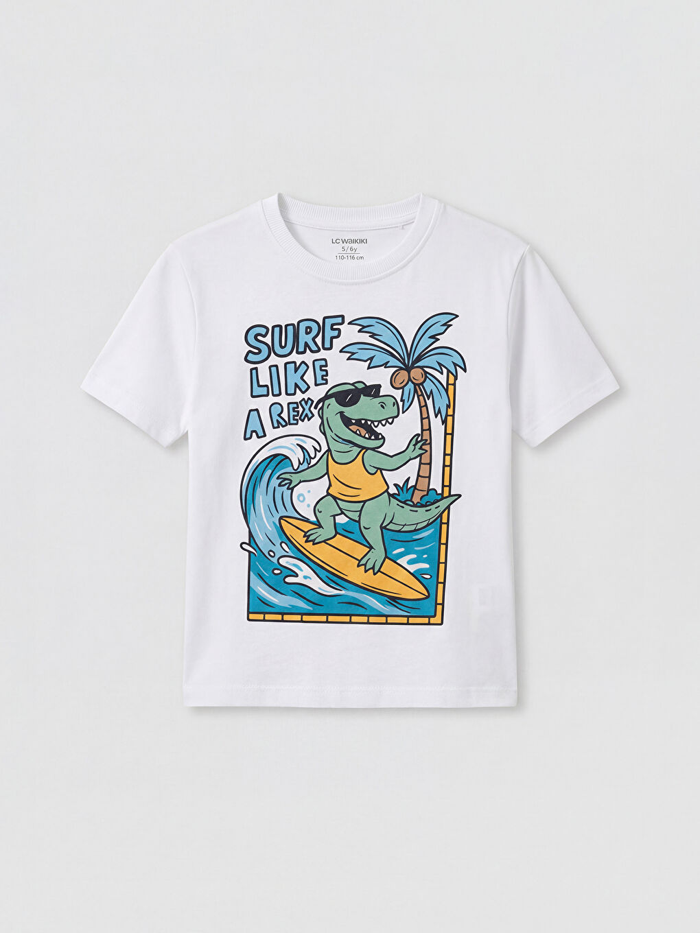 Printed Boys' T-Shirt 2 Pack-1