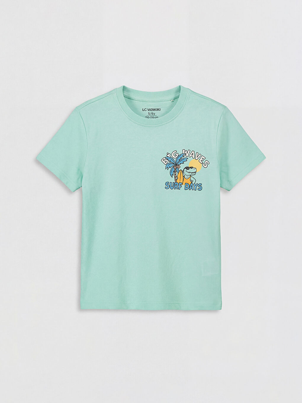 Printed Boys' T-Shirt 2 Pack-3