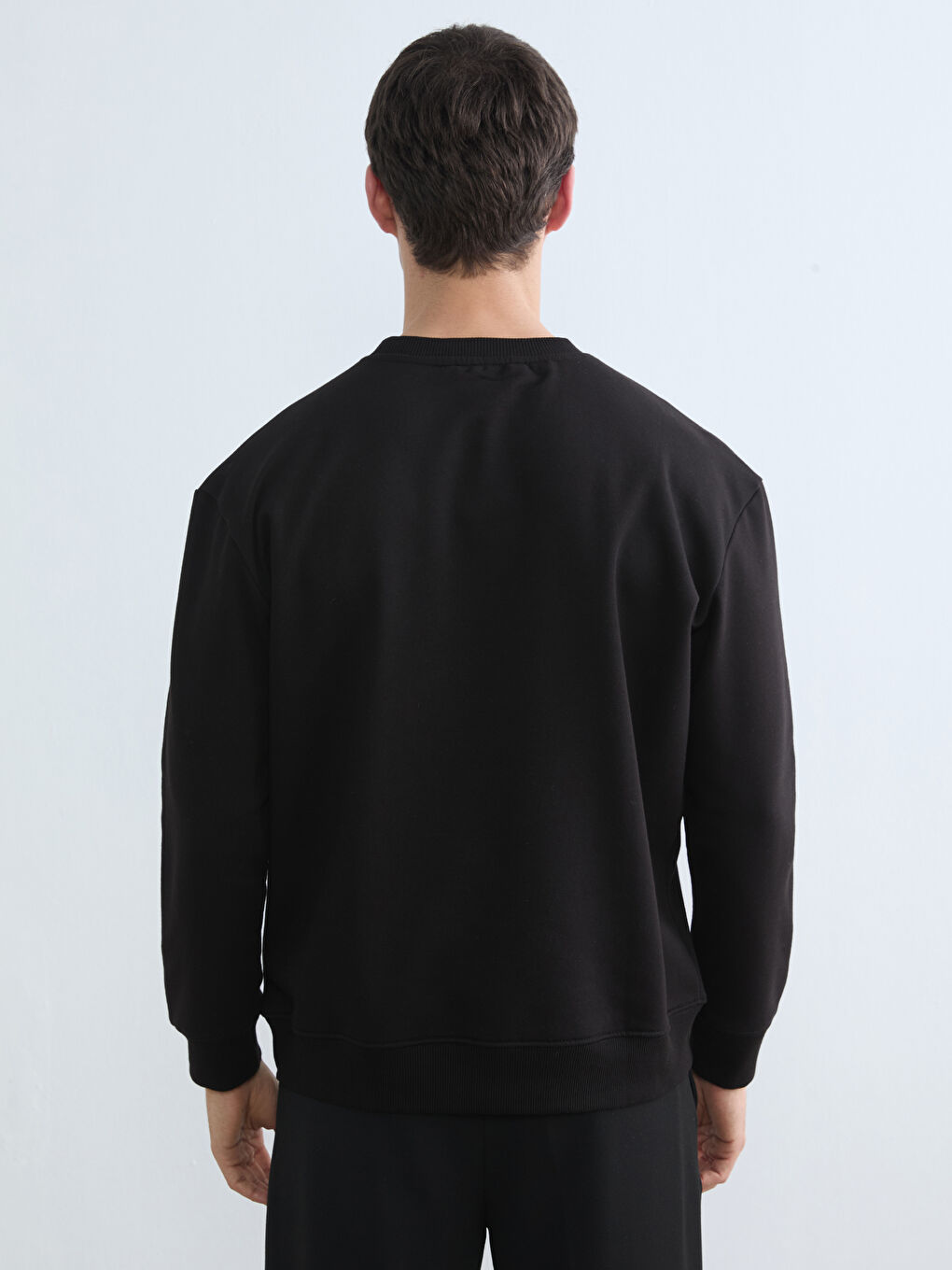Crew Neck Men's Sweatshirt-3