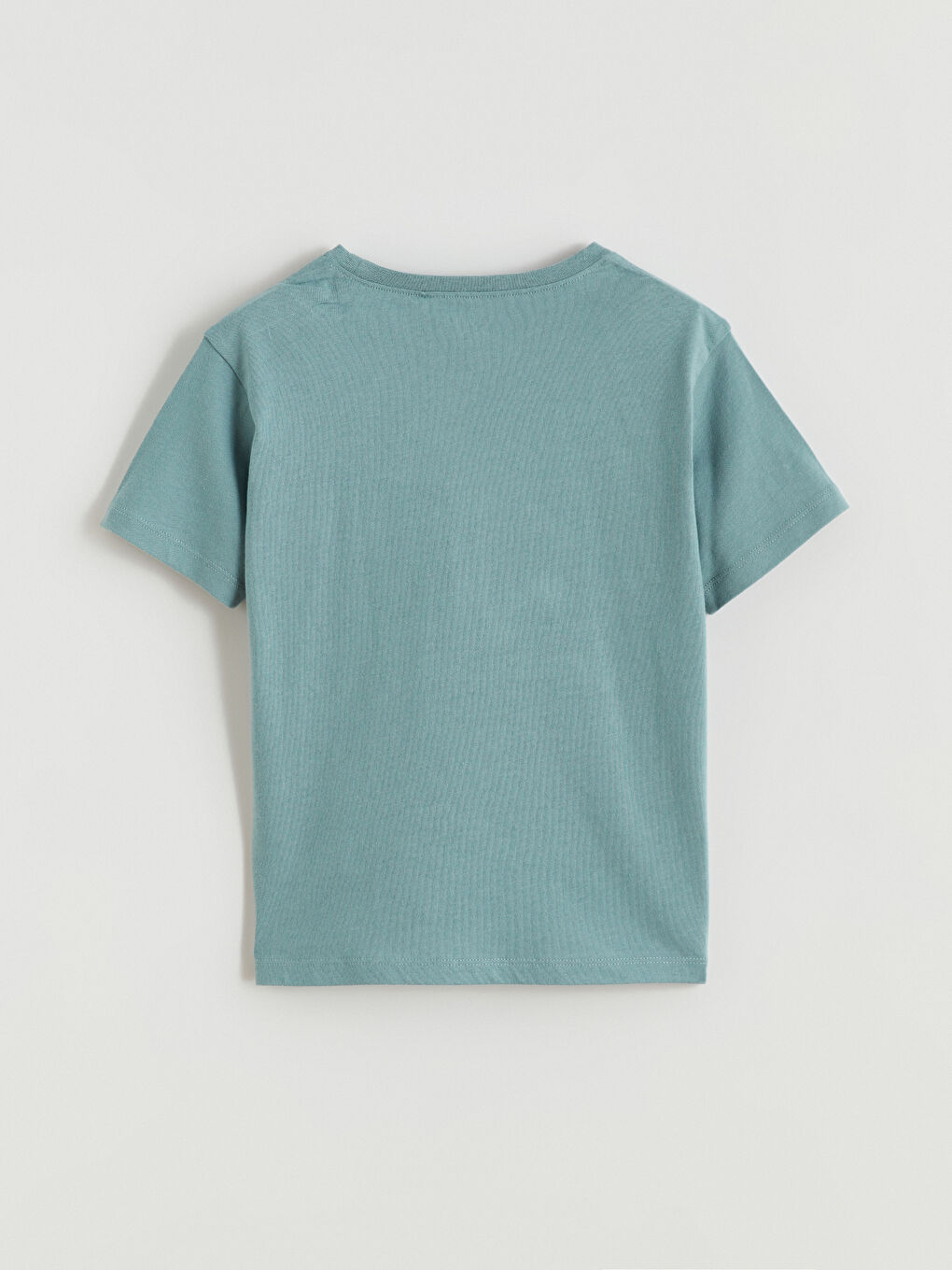 Yeşil Dinozor Baskılı Erkek Çocuk Pijama Üst-1