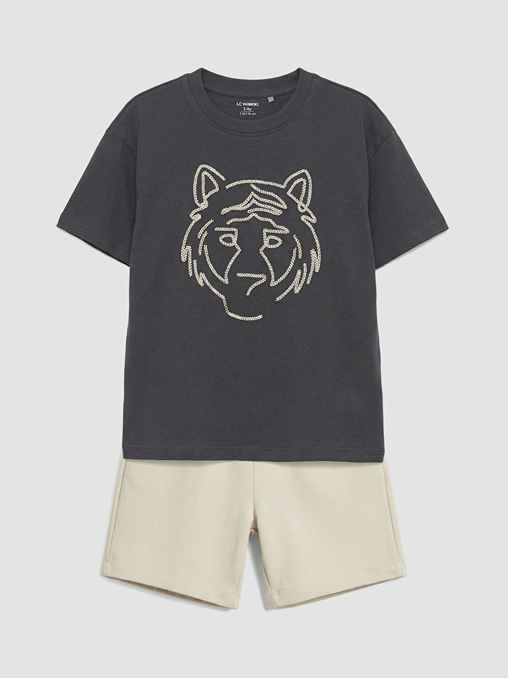 Embroidered T-shirt and Shorts Set for Boys