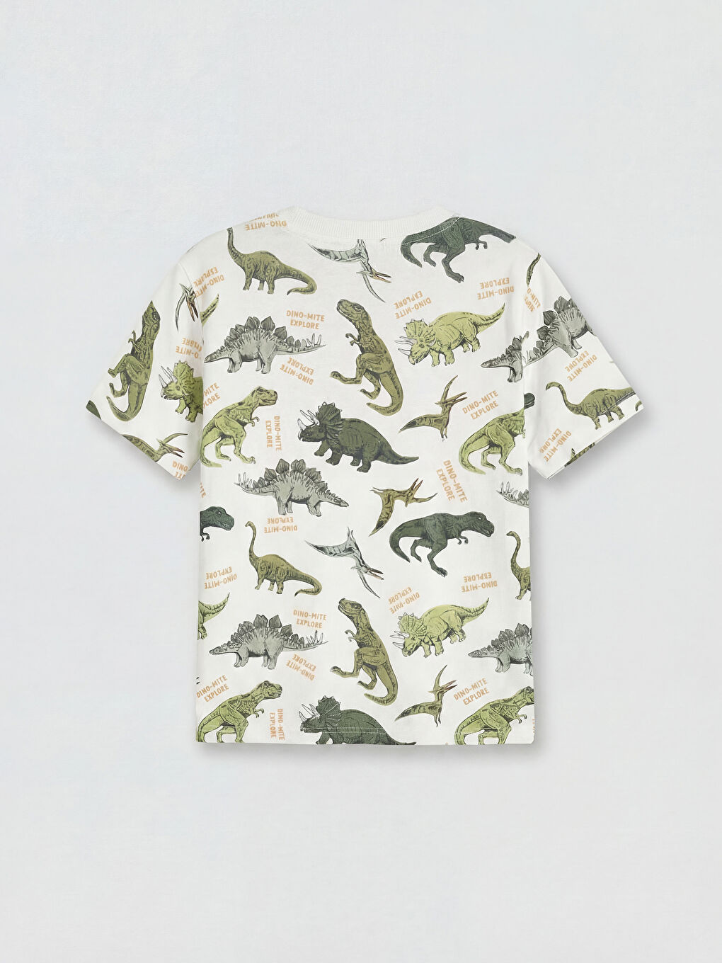 Ekru Dinozor Baskılı Erkek Çocuk Tişört ve Şort-2
